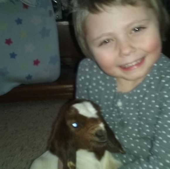 Meet your Posher, Belinda - Picture 1 of 1